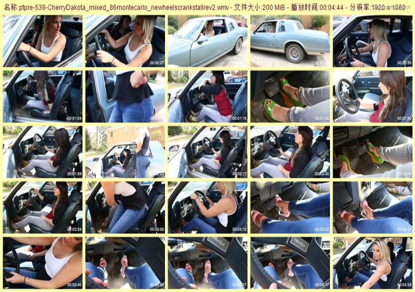 ptpre-538